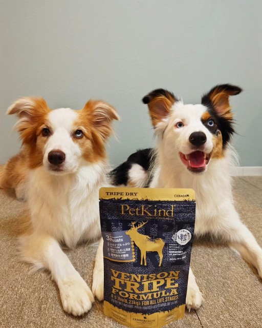 f:id:gussan-belle:20230820132505j:image f:id:gussan-belle:20230820132505j:image