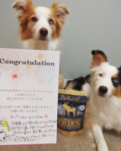 f:id:gussan-belle:20230820132525j:image f:id:gussan-belle:20230820132525j:image