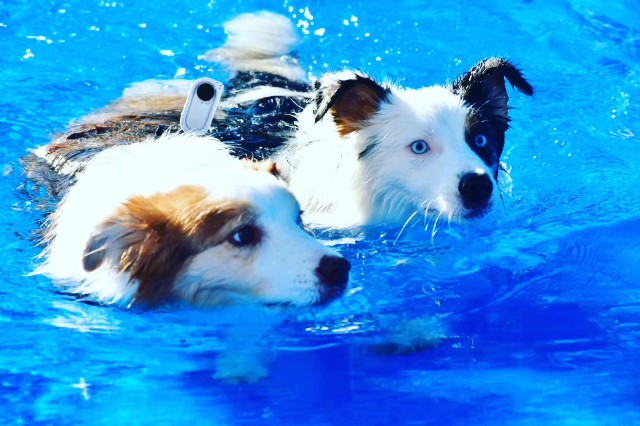 f:id:gussan-belle:20230904145421j:image