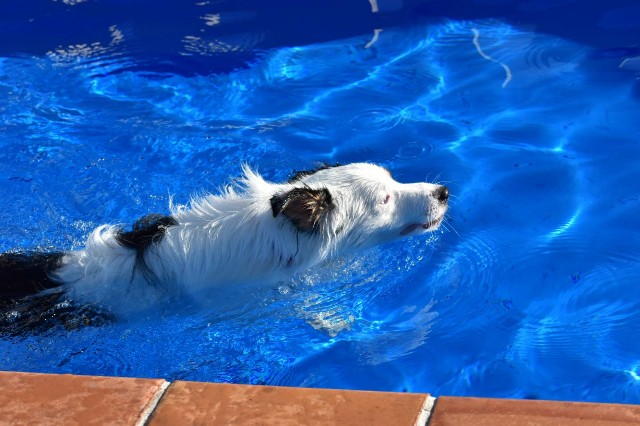 f:id:gussan-belle:20230904145447j:image