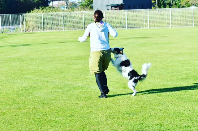 f:id:gussan-belle:20230904145510j:image