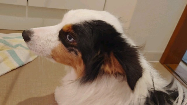 f:id:gussan-belle:20240124150404j:image f:id:gussan-belle:20240124150404j:image