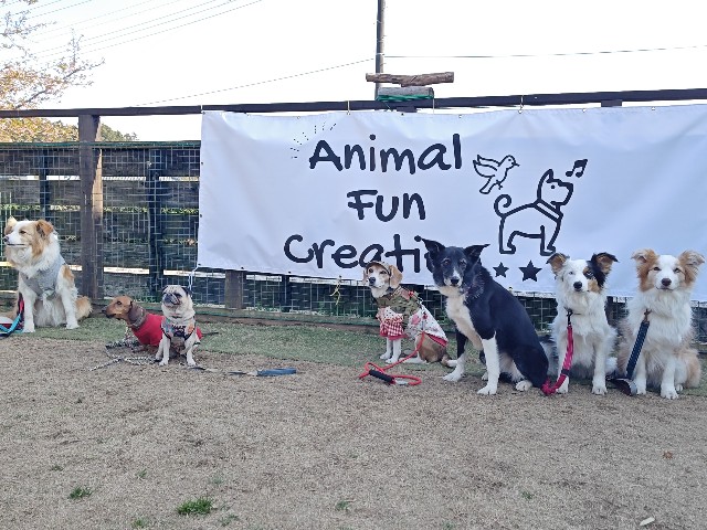 f:id:gussan-belle:20240318082435j:image