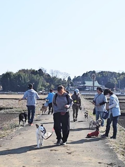 f:id:gussan-belle:20240318082602j:image