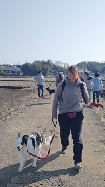 f:id:gussan-belle:20240318082620j:image