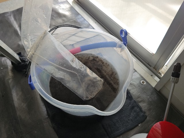 f:id:gussan-belle:20240320192733j:image f:id:gussan-belle:20240320192733j:image