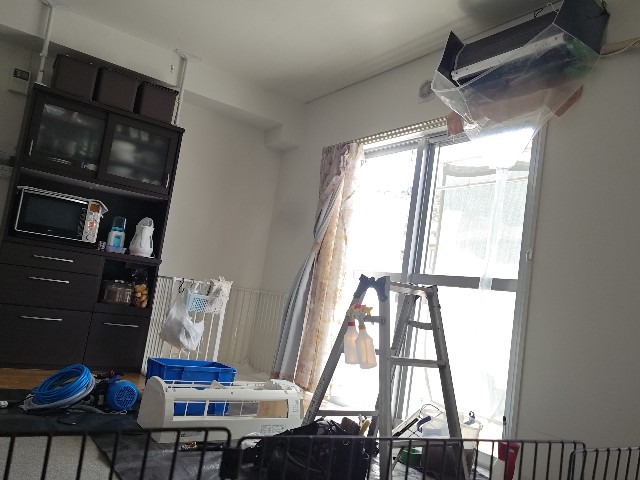 f:id:gussan-belle:20240320192828j:image f:id:gussan-belle:20240320192828j:image