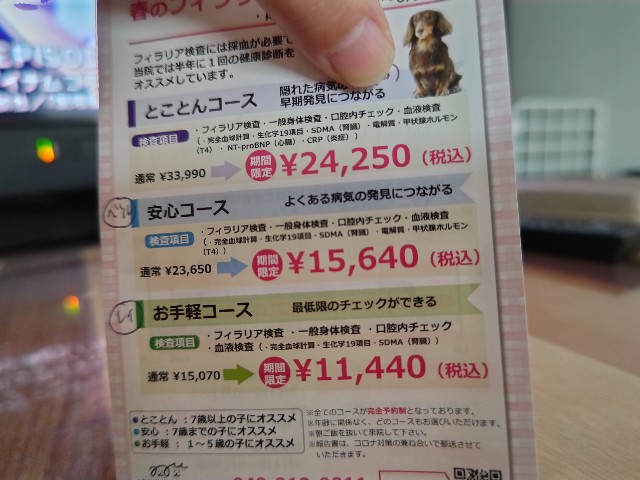 f:id:gussan-belle:20240411214945j:image f:id:gussan-belle:20240411214945j:image