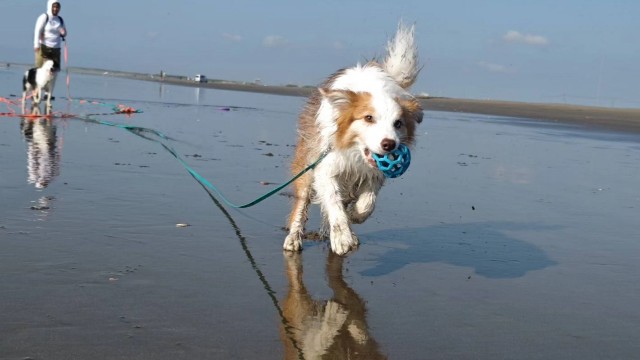 f:id:gussan-belle:20240806172722j:image