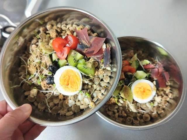 f:id:gussan-belle:20240902131936j:image