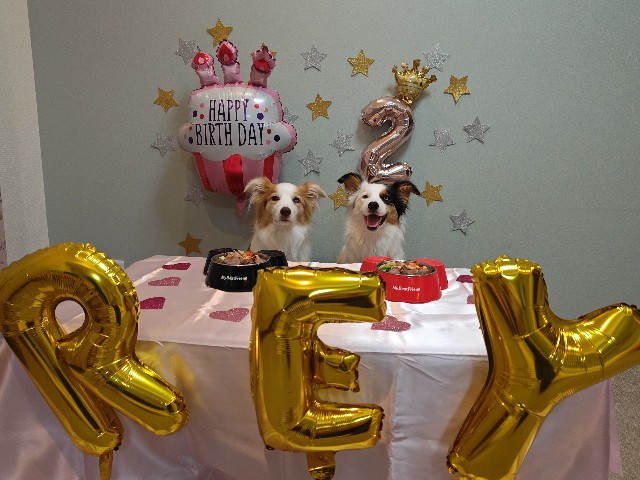 f:id:gussan-belle:20240908201911j:image f:id:gussan-belle:20240908201911j:image