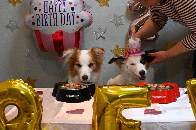 f:id:gussan-belle:20240908201942j:image f:id:gussan-belle:20240908201942j:image