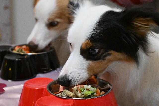 f:id:gussan-belle:20240908202019j:image f:id:gussan-belle:20240908202019j:image