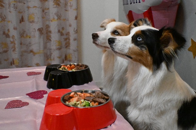 f:id:gussan-belle:20240908202032j:image f:id:gussan-belle:20240908202032j:image