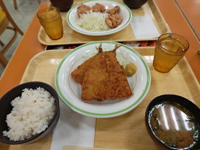 f:id:gussan-belle:20240928080850j:image f:id:gussan-belle:20240928080850j:image