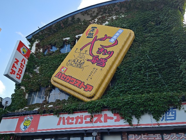 f:id:gussan-belle:20240930211224j:image f:id:gussan-belle:20240930211224j:image