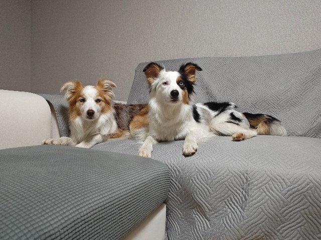 f:id:gussan-belle:20241003141835j:image f:id:gussan-belle:20241003141835j:image