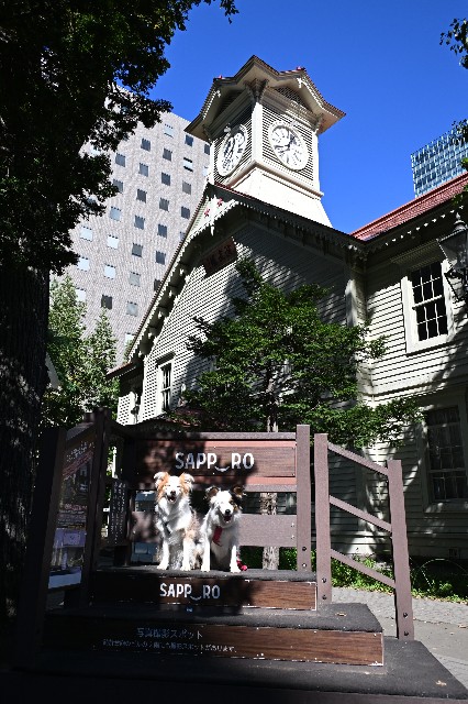 f:id:gussan-belle:20241005191332j:image f:id:gussan-belle:20241005191332j:image