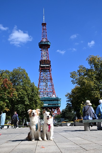 f:id:gussan-belle:20241005191415j:image f:id:gussan-belle:20241005191415j:image