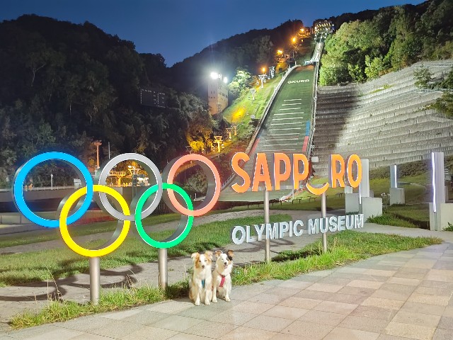 f:id:gussan-belle:20241005191634j:image f:id:gussan-belle:20241005191634j:image