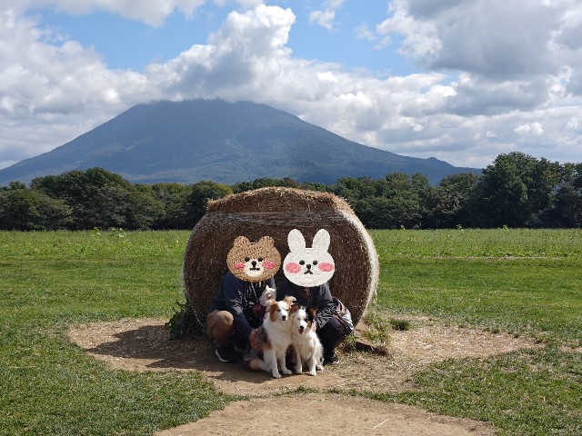 f:id:gussan-belle:20241008212601j:image f:id:gussan-belle:20241008212601j:image