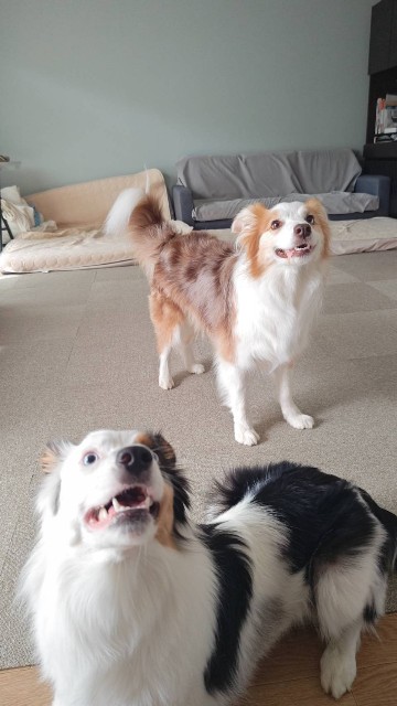 f:id:gussan-belle:20241011081358j:image f:id:gussan-belle:20241011081358j:image