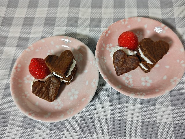 f:id:gussan-belle:20250220132540j:image