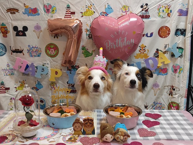 f:id:gussan-belle:20250618204516j:image f:id:gussan-belle:20250618204516j:image