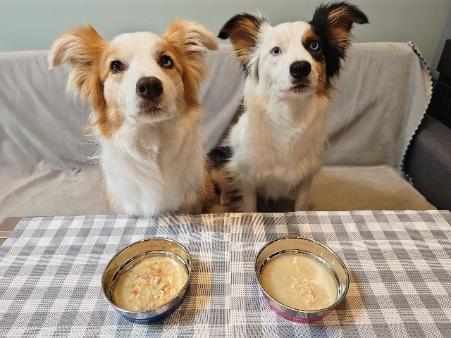 f:id:gussan-belle:20250724174152j:image