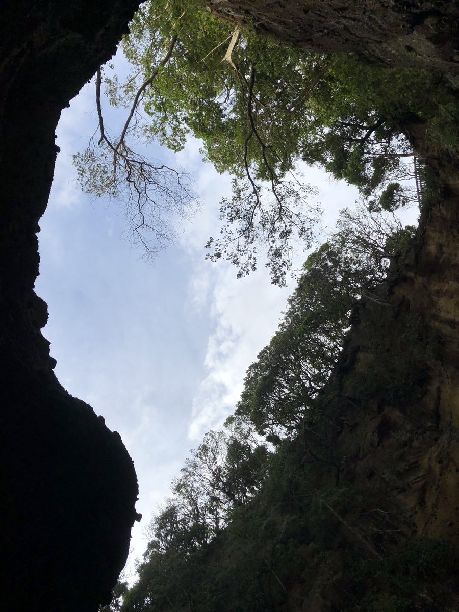 f:id:gussan1910:20190520152219j:plain f:id:gussan1910:20190520152219j:plain