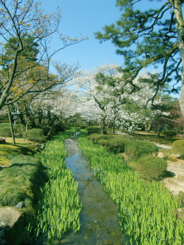 f:id:gussie0317:20140414075715j:image