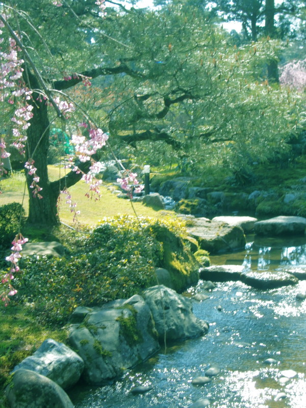 f:id:gussie0317:20140414081634j:image