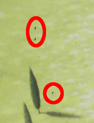 f:id:gust_notch:20111007233746p:image:h200