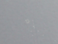 20120521073413