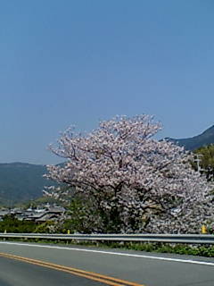 f:id:gustav5:20070411135410j:image