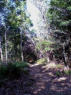 f:id:gustav5:20070411151631j:image
