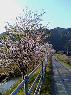 f:id:gustav5:20070411171521j:image