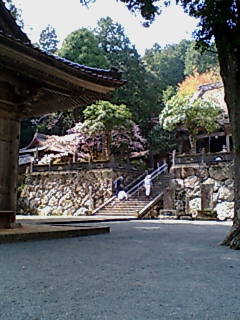 f:id:gustav5:20070412142850j:image