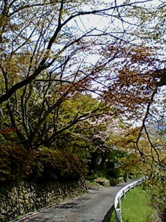 f:id:gustav5:20070412144810j:image