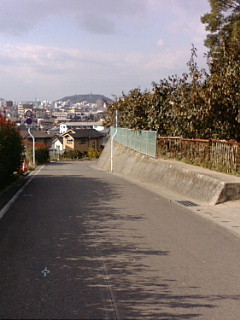 f:id:gustav5:20071121134351j:image