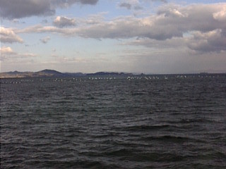 f:id:gustav5:20071122083036j:image