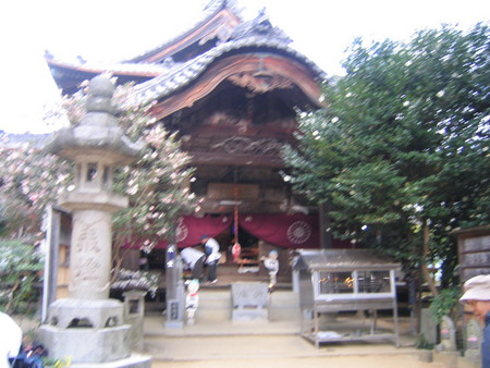f:id:gustav5:20071123092255j:image
