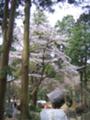 [四国]白峰寺境内