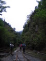 [屋久島]荒川登山口