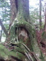 20090417095250