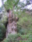 20090417105036