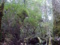 20090417125443