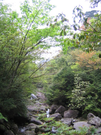 大株歩道にて