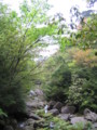 [屋久島]大株歩道にて