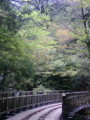 [屋久島]トロッコ軌道